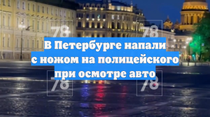 В Петербурге напали с ножом на полицейского при осмотре авто
