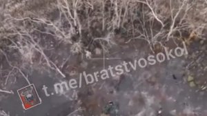Пытавшегося сдаться в плен НАВОЗовца минусуют свои же побратымы на Лиманском направлении !!!