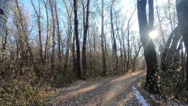 Прогулки на природе №2. 😊