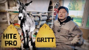 Щит для ландшафтного освещения 💡 Сравнение Hite PRO и Gritt + ошибки монтажа уличных щитов!