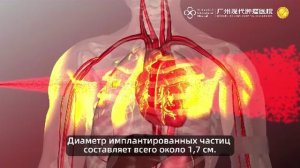 document_5438260269908264208