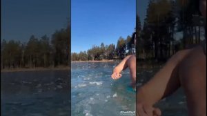 Моржи Муравленко