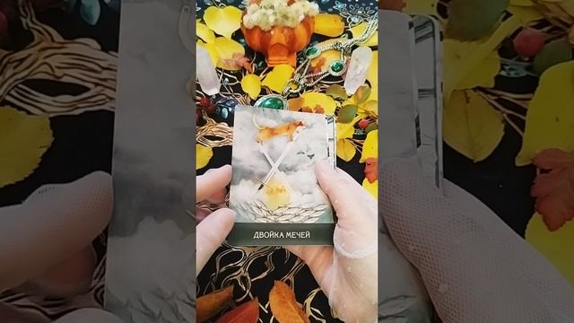 УДИВИТЕЛЬНЫХ КОШЕК ТАРО