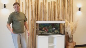 Обзор аквариума 200 литров с тумбой от фирмы ZelAqua