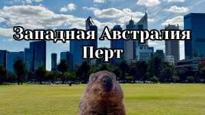 Перт, самые счастливые животные, золото, океан и пустыни. Западная Австралия: на краю континента