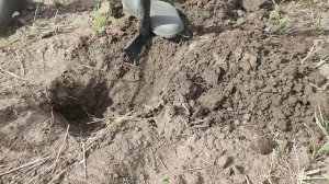 Металлопоиск