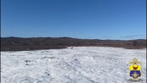 В Приамурье транспортные полицейские спасли дикую косулю, заблудившуюся на ЖД станции в Сковородино