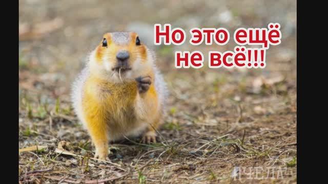 2024_экскурсия: СУСЛИК, кампус, библиотека, столовая, музей, спорт Челябинского государственного