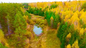 "ОСЕННИЙ РЕЛАКС"