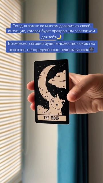 картадня cardoftheday таро tarot cats таропрогноз совет