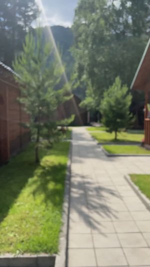 Наше лето 2025