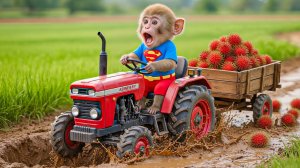 Мультики для детей. Обезьянка и его приключения на синим тракторе, обезьянка и синий трактор, мульти