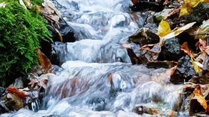 осознай себя