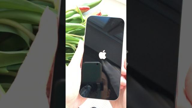 📱Распаковка iPhone 15 Pro White Titanium 📱Снято на iPhone 6s || unboxing iPhone 15 Pro смотреть онлайн