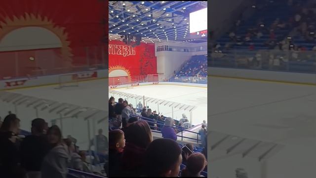 День горда и звеззды хоккея !!!