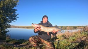 РЫБАЛКА НА СПИНИНГ. ОСЕННЯЯ ЩУКА.