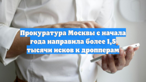 Прокуратура Москвы с начала года направила более 1,5 тысячи исков к дропперам