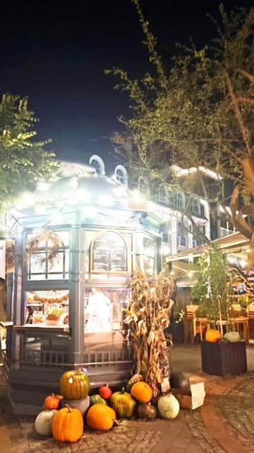 Праздную свой ДР в Зеленоградске🎉🥳