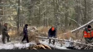 Синоптик рассказала о перемене погоды в районе поиска семьи Усольцевых