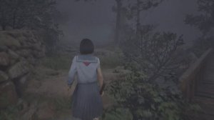 SIlENT HILL F - Прохождение #9. Пожертвовали напарником, путь к дому Сю
