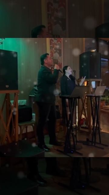 ВЛАДИСЛАВ ОГАНОВ- Снег кружится кавер ВИА Пламя