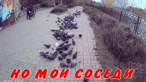 ДОБРОДУШИЕ 15 10