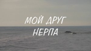 Бэлгутэ Балданцэрэн – звукорежиссер фильма «Мой друг нерпа»