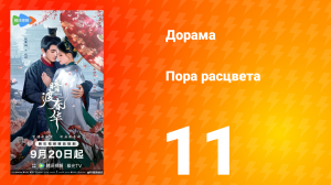 Пора расцвета 11 серия