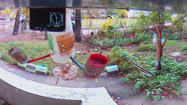 В генеральную прокуратуру РФ Нарушения ПДД и САНПИН