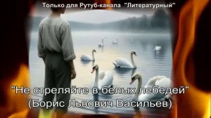 Не стреляйте в белых лебедей: краткое содержание