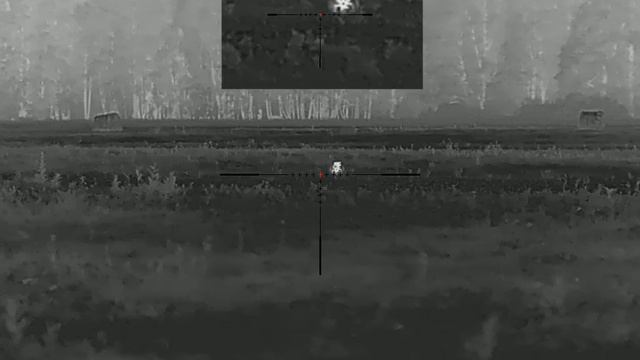 Барсук или енот? прицел Sytong XM06-50 LRFн смотреть онлайн