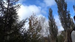 Я помню, любимая, помню...