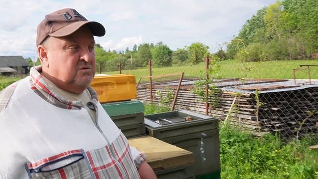 Бакфаст на истоке Волги - пасека Владимира Харламова смотреть онлайн