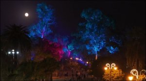 Прогулка под луной