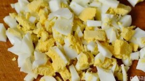 Салат из кальмаров с крабовыми палочками