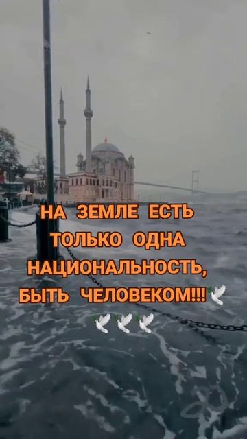 Умные слова смотреть онлайн