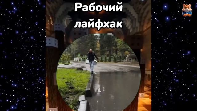 Смех до слез. Подборка приколов смотреть онлайн