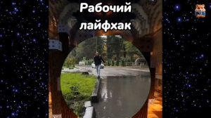 Смех до слез. Подборка приколов