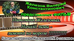 Питомник Железовых. Начало зимы - зимовка на морозе !!!!!!!!!!!