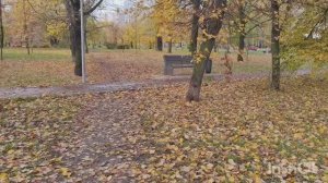 Прийти в себя после уроков до 00:30