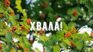 Хвала Тебе наш Господь - минус мой 4
