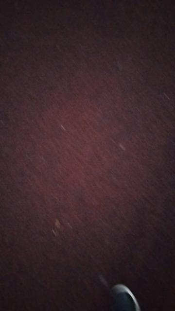 1000038061.mp4оаро