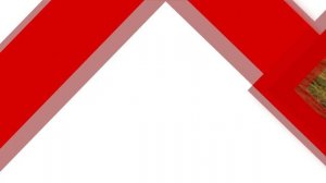 16.10.2025 Интересные факты. Где растёт клюква и когда её собирать