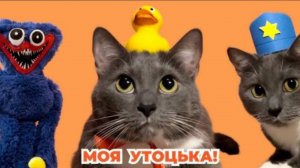КОТИКИ В ШКОЛЕ - ЛОТКОВ В ПОИСКАХ УТЬКИ перезалив KOTINET