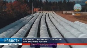 KRMZ Innovation в Казахстане