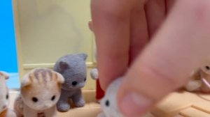 Сильвания фемилис 1 серия . Новенькие в детском саду . Что сделала Дейзи ?