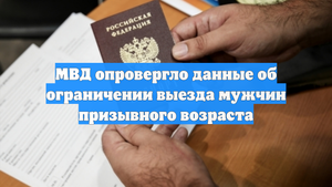 МВД опровергло данные об ограничении выезда мужчин призывного возраста