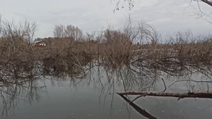Рыбалка в бобровых местах