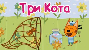 ТРИ КОТА ПИКНИК, Собираем Ягоды, Хворост и Ловим Бабочек