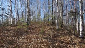 Бродилки от Бродислава 284